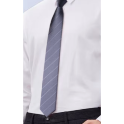 Corbata ratlles diagonals o corbata llisa , gris o plata